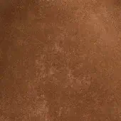 2422927 - NOCCIOLA